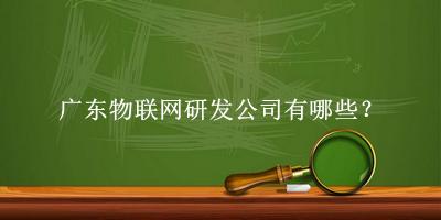廣東物聯(lián)網研發(fā)公司